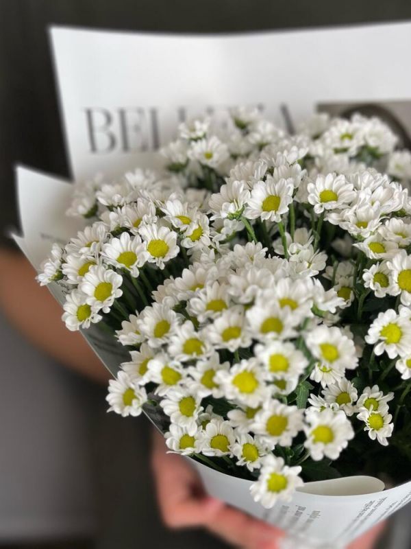 Букет милых ромашек