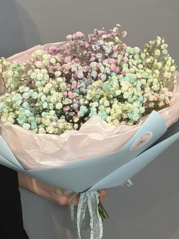 Разноцветная гипсофила